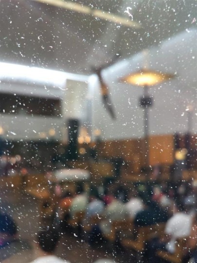 Outside the window