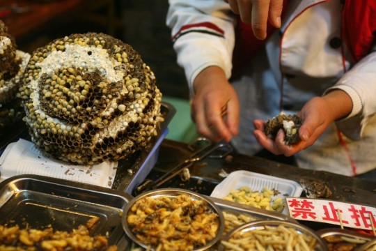 Bee larvae